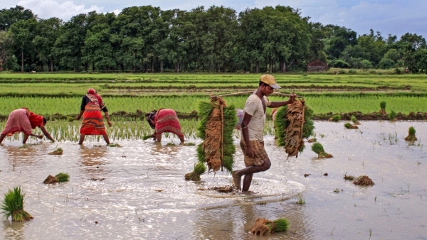  ಪ್ರಧಾನ ಮಂತ್ರಿ ಕಿಸಾನ್‌ ಸಮ್ಮಾನ್‌ ನಿಧಿ ಯೋಜನೆ: 9.4 ಕೋಟಿ ರೈತರ ಮು