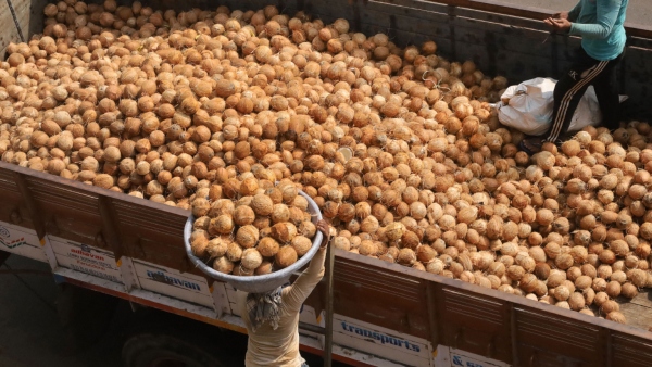  ಜೆಪ್ಟೋ, ಬ್ಲಿಂಕಿಟ್‌ಗಿಂತಲೂ ಕಡಿಮೆ ಬೆಲೆಗೆ ತೆಂಗಿನಕಾಯಿ