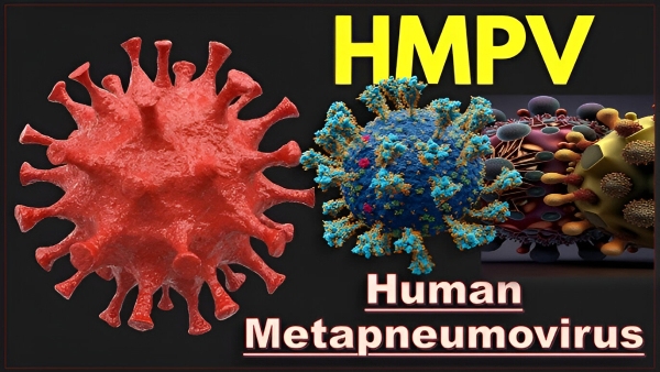 3 HMPV ಪ್ರಕರಣ ಪತ್ತೆ! ಆಸ್ಪತ್ರೆ ಷೇರು 4% ಏರಿಕೆ! 