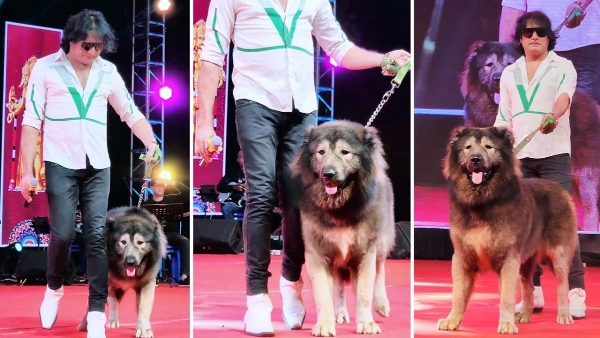 ಬೆಂಗಳೂರಿನ ವ್ಯಕ್ತಿ ಖರೀದಿಸಿದ್ದಾರೆ ₹50 ಕೋಟಿಯ ನಾಯಿ..! 