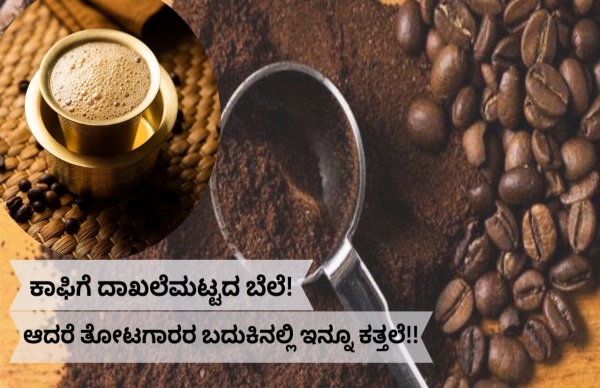 ಕಾಫಿ ಬೆಲೆ ಏರಿದರೂ ರೈತನಿಗಿಲ್ಲ ಫಲ! ಯಾಕೆ?
