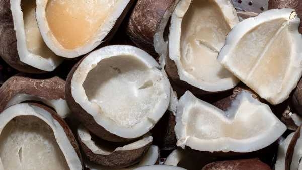 ರೈತರಿಗೆ ಸಿಹಿಸುದ್ದಿ: ಕೊಬ್ಬರಿ ಬೆಲೆ ಕ್ವಿಂಟಲ್‌ಗೆ 1,000 ಏರಿಕೆ