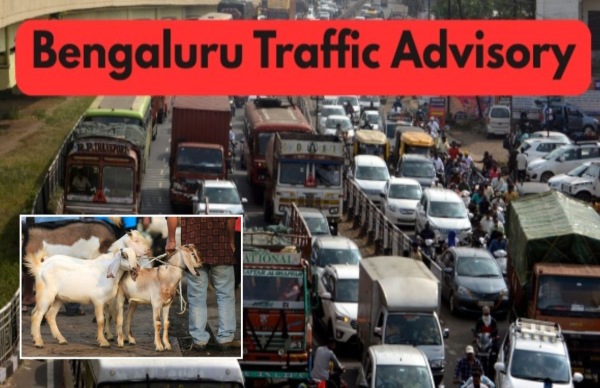Bakrid 2025: ಈ ರಸ್ತೆಗಳಲ್ಲಿ ಭಾರಿ ಟ್ರಾಫಿಕ್..ಬದಲಿ ಮಾರ್ಗಗಳು? Bakrid 2025: ಈ ರಸ್ತೆಗಳಲ್ಲಿ ಭಾರಿ ಟ್ರಾಫಿಕ್..ಬದಲಿ ಮಾರ್ಗಗಳು?