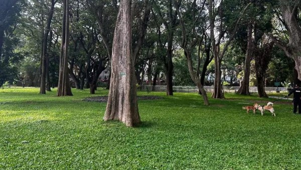 ಕಬ್ಬನ್‌ ಪಾರ್ಕ್‌ನಲ್ಲಿ ಹೊಸ ರೂಲ್ಸ್ ಜಾರಿ: ಇನ್ಮುಂದೆ ಮಾಡಂಗಿಲ್ಲ