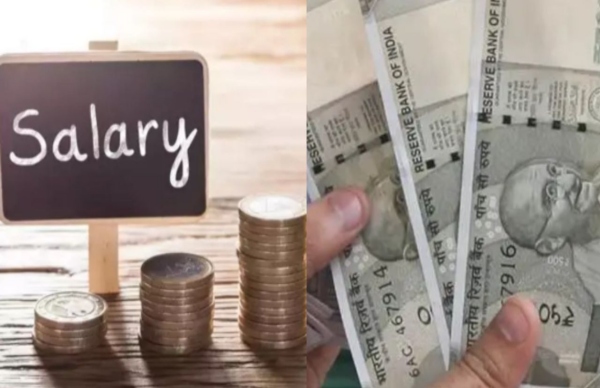 5 ಕೋಟಿ ಫೌಂಡರ್ ಜೇಬಿಗೆ, ₹500 ಮಾತ್ರ ಇಂಟರ್ನ್ಗಳಿಗೆ! 5 ಕೋಟಿ ಫೌಂಡರ್ ಜೇಬಿಗೆ, ₹500 ಮಾತ್ರ ಇಂಟರ್ನ್ಗಳಿಗೆ!
