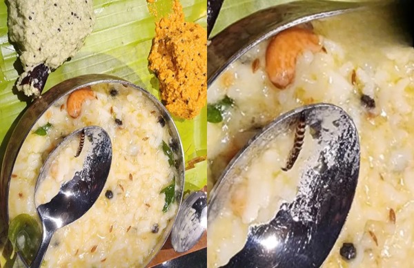ಏರ್ಪೋರ್ಟ್ನಲ್ಲಿರುವ ರಾಮೇಶ್ವರಂ ಕೆಫೆ ಪೊಂಗಲ್ನಲ್ಲಿ ಹುಳು ಪತ್ತೆ! ಏರ್ಪೋರ್ಟ್ನಲ್ಲಿರುವ ರಾಮೇಶ್ವರಂ ಕೆಫೆ ಪೊಂಗಲ್ನಲ್ಲಿ ಹುಳು ಪತ್ತೆ!