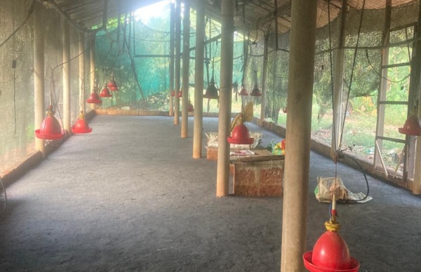 ಕೋಳಿ ಸಾಕಾಣಿಕೆ ಮೂಲಕ  ಲಕ್ಷಗಟ್ಟಲೆ ಸಂಪಾದನೆ!