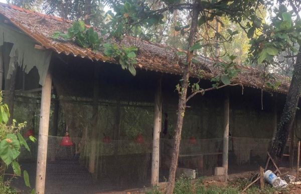 ಕೋಳಿ ಸಾಕಾಣಿಕೆ ಮೂಲಕ  ಲಕ್ಷಗಟ್ಟಲೆ ಸಂಪಾದನೆ!