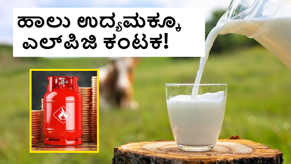 ಎಲ್‌ಪಿಜಿ ಪೂರೈಕೆ ಕೊರತೆ; ಹಾಲು ಉದ್ಯಮಕ್ಕೂ ತಟ್ಟಿದ ಯುದ್ಧದ ಬಿಸಿ!