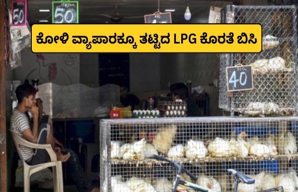 ಕೋಳಿ ವ್ಯಾಪಾರಕ್ಕೂ ತಟ್ಟಿದ LPG ಬಿಸಿ; ಬೆಂಗಳೂರಲ್ಲಿ ಮಾರಾಟ ಕುಸಿತ