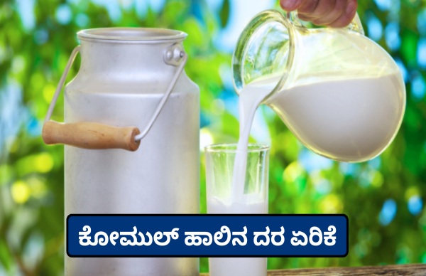 ಕೋಲಾರ ರೈತರಿಗೆ ಯುಗಾದಿ ಗಿಫ್ಟ್; ಕೋಮುಲ್ ಹಾಲು ದರ 39.85 ರೂ.ಗೆ ಏರಿಕ