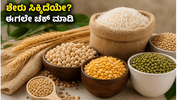 NFP ಸಂಪೂರ್ಣ ಫುಡ್ಸ್ ಐಪಿಒ: ಅಲಾಟ್ಮೆಂಟ್ ಸ್ಟೇಟಸ್ ಚೆಕ್ NFP ಸಂಪೂರ್ಣ ಫುಡ್ಸ್ ಐಪಿಒ: ಅಲಾಟ್ಮೆಂಟ್ ಸ್ಟೇಟಸ್ ಚೆಕ್
