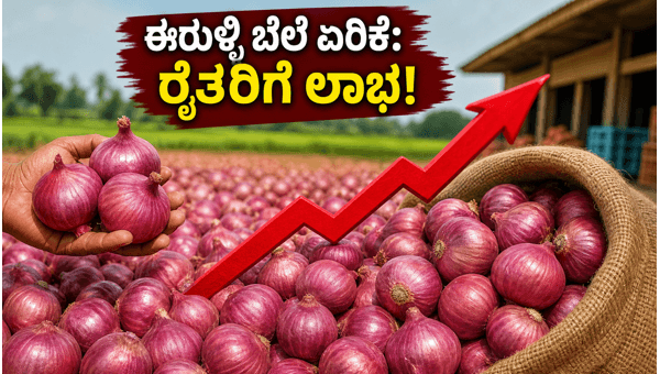 ಈರುಳ್ಳಿ ಖರೀದಿ ಬೆಲೆ ಏರಿಕೆ: ರೈತರಿಗೆ ಬಂಪರ್ ಲಾಭ