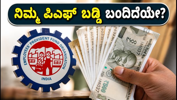 EPFO 8.25% ಬಡ್ಡಿ ಜಮೆ: ಬ್ಯಾಲೆನ್ಸ್ ಚೆಕ್ ಮಾಡುವುದು ಹೇಗೆ?