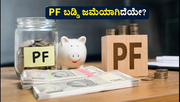 PF ಬಡ್ಡಿ ಜಮೆ: ಸ್ಟೇಟಸ್ ಚೆಕ್ ಮಾಡುವುದು ಹೇಗೆ? PF ಬಡ್ಡಿ ಜಮೆ: ಸ್ಟೇಟಸ್ ಚೆಕ್ ಮಾಡುವುದು ಹೇಗೆ?