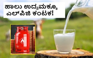 ಎಲ್‌ಪಿಜಿ ಪೂರೈಕೆ ಕೊರತೆ; ಹಾಲು ಉದ್ಯಮಕ್ಕೂ ತಟ್ಟಿದ ಯುದ್ಧದ ಬಿಸಿ!