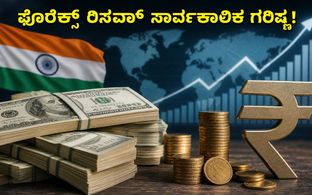 ಭಾರತದ ಫೊರೆಕ್ಸ್ ರಿಸರ್ವ್ ಸಾರ್ವಕಾಲಿಕ ಗರಿಷ್ಠ: ಮಾರುಕಟ್ಟೆ ಮೇಲೆ ಇದರ ಬೃಹತ್ ಪ್ರಭಾವವೇನು?