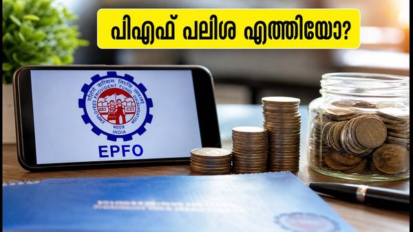 ഇപിഎഫ്ഒ പലിശ അക്കൗണ്ടിൽ എത്തിയോ? ബാലൻസ് പരിശോധിക്കാനും തട്ടിപ്പുകളിൽ നിന്ന് രക്ഷപ്പെടാനും ഈ വഴികൾ നോക്കൂ