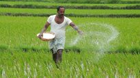 ബജറ്റ് 2021-22: കാർഷിക മേഖലയ്ക്ക് കൂടുതൽ ആനുകൂല്യങ്ങൾ നൽകണമെന്ന് വിദഗ്ധർ