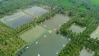 ഇ-സാന്‍റ: അക്വാ ഉല്‍പ്പന വിപണിക്കായി പുതിയ ഓണ്‍ലൈന്‍ പ്ലാറ്റ് ഫോം തുറന്ന് കേന്ദ്ര സര്‍ക്കാര്‍