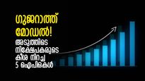 എല്‍ഐസി മുട്ടുകുത്തിയപ്പോഴും വിജയം വരിച്ച 5 ഐപിഒ ഓഹരികള്‍; എല്ലാ കമ്പനികള്‍ക്കും ഗുജറാത്ത് ബന്ധം!
