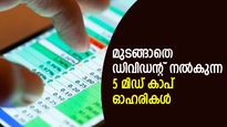 ഇരട്ട നേട്ടം! സ്ഥിരമായി ലാഭവിഹിതം നല്‍കുന്ന 5 മിഡ് കാപ് ഓഹരികള്‍; നോക്കുന്നോ?