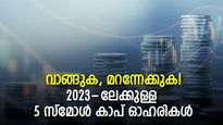 വാങ്ങുക, മറന്നേക്കുക! 2023-ലേക്കുള്ള 5 സ്‌മോള്‍ കാപ് ഓഹരികള്‍; നോക്കുന്നോ?