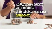 മാസാവസാനം കീശ കാലിയാകുന്നോ? പുതുവര്‍ഷം മുതല്‍ ഈ ശീലങ്ങൾ പിന്തുടരാം; പണം മിച്ചം പിടിക്കുന്നത് ഇങ്ങനെ