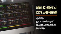 വില 52 ആഴ്ച താഴ്ചയിലേക്ക്; 100 ലധികം മ്യൂച്വൽ ഫണ്ട് സ്കീമുകൾ കൈവശം വെച്ചിരിക്കുന്ന 9 ഓഹരികളിതാ