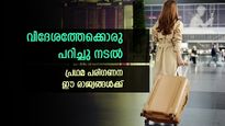 കൂടുമാറ്റം ആ​ഗ്രഹിക്കുന്നുണ്ടോ; പ്രവാസം സുഖകരമാക്കാൻ ജോലിക്കായി ശ്രമിക്കേണ്ടത് ഈ 6 രാജ്യങ്ങളിൽ