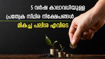 ആവശ്യക്കാരേറെ; പ്രത്യേക സ്ഥിര നിക്ഷേപങ്ങളുടെ കാലാവധി നീട്ടി എസ്ബിഐ, എച്ച്ഡിഎഫ്‌സി; മികച്ച പലിശ എവിടെ