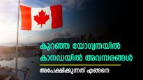 കാനഡയിൽ പൊതു​ഗതാ​ഗത രം​ഗത്ത് നിരവധി അവസരങ്ങൾ; മണിക്കൂറിന് 3,700 രൂപ ശമ്പളം; യോ​ഗ്യത അറിയാം