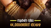ആ​ഗോള വിപണിയിൽ സ്വർണ വില കുറയുന്നു; കേരളത്തിലും പതിയെ താഴേക്ക്; സ്വർണ വില 44,000ത്തിന് താഴെ