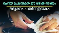 പണിയെടുക്കാതെ വരുമാനം ഉണ്ടാക്കാം; ചെലവും നടത്താം; പാസീവ് ഇൻകം ഉണ്ടാക്കുന്നത് എങ്ങനെ എന്നറിയാം