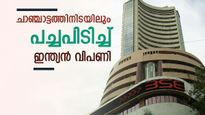 ചാഞ്ചാട്ടത്തിനിടയിലും പച്ചപിടിച്ച് ഇന്ത്യൻ വിപണി; ഐടി ഓഹരികളിൽ തിരിച്ചു വരവ്; വിപണിയിലെ ഈ ആഴ്ച