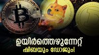 ക്രിപ്‌റ്റോ വസന്തം; ബിറ്റ്‌കോയിന്‍ റെക്കോര്‍ഡ് ഉയരത്തില്‍, ഒപ്പം കൂടാന്‍ ഷിബ, ഗാല, ഡോജ്‌കോയിനുകള്‍!