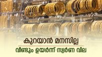 കൊടുങ്കാറ്റായി സ്വർണ വില, ചരിത്രത്തിലെ ഏറ്റവും ഉയർന്ന നിരക്കിൽ, ഇപ്പോൾ വാങ്ങാതിരിക്കുന്നതാണ് ബുദ്ധി