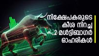 റോക്കറ്റ് പോലെ കുതിച്ച ഓഹരികൾ, നേട്ടം വളരെ വലുതാണ്, നോക്കാം 2 മൾട്ടിബാഗർ ഓഹരികൾ