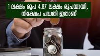 1 ലക്ഷം രൂപയുടെ മൂല്യം ഇന്ന് 4.87 ലക്ഷം, പണം വളർത്തിയ വഴി ഇതാണ്, നോക്കുന്നോ ...