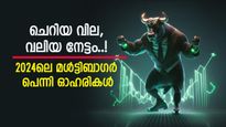 മൂന്ന് മാസത്തിനിടെ നേട്ടം 155 ശതമാനം, 2024ൽ നേട്ടം കൊയ്ത് പെന്നി സ്റ്റോക്കുകൾ, നിങ്ങൾക്ക് നിക്ഷേപമുണ്ടോ..?