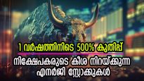 ഭാവിയിൽ പണം വാരാം, ഈ ഓഹരികളിൽ നിക്ഷേപിക്കു, ഉറപ്പിന് പിന്നിലെ കാരണം ഇതാണ്
