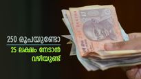 250 രൂപകൊണ്ട് 25 ലക്ഷം രൂപ നേടാം, ഇതാണ് സർക്കാർ പിന്തുണയുള്ള നിക്ഷേപ പദ്ധതി, ഇപ്പോൾ തന്നെ അംഗങ്ങളാകൂ