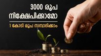 കയ്യിൽ 3000 രൂപയുണ്ടോ, 1 കോടി രൂപ സമ്പാദിക്കാൻ എളുപ്പ വഴിയുണ്ട്, നിക്ഷേപം ഇങ്ങനെ ക്രമീകരിക്കു