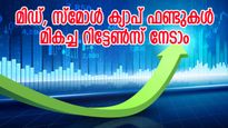 മിഡ്, സ്മോൾ ക്യാപ് ഫണ്ടുകളിൽ നിന്ന് മികച്ച റിട്ടേൺസ് നേടാം; ഇക്കാര്യങ്ങൾ നിർബന്ധമായും അറിഞ്ഞിരിക്കുക