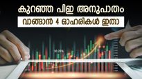 25 ശതമാനം വരെ നേട്ടമുണ്ടാക്കാം, കുറഞ്ഞ പിഇ അനുപാതമുള്ള 4 ഓഹരികൾ, കൂടെക്കൂട്ടുന്നോ..?