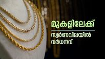 കുതിപ്പിന് തുടക്കമിട്ട് സ്വർണം, ഇന്ന് പവന് കൂടിയത് 80 രൂപ, വില വർധനവിന് കാരണം ഇതാണ്, ഇന്നത്തെ നിരക്കറിയാം