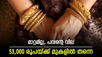 കുറയാതെ സംസ്ഥാനത്തെ സ്വർണവില, ഒരു പവൻ വാങ്ങാൻ 58,000 രൂപ നൽകണം, വരും ദിവസങ്ങളിലും വില കൂടുമോ..?