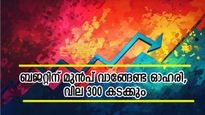 ബജറ്റിന് മുൻപ് ഈ പൊതുമേഖലാ ഓഹരി വാങ്ങാം, വില 300 കടക്കുമെന്ന് വിദഗ്ധർ, കാരണം ഇതാണ്