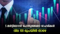 കീശ നിറച്ച പൊതുമേഖലാ ഓഹരികൾ, വില 100 രൂപയിൽ താഴെ, നിങ്ങൾക്ക് നിക്ഷേപമുണ്ടോ..?
