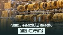 സ്വർണവില കുറഞ്ഞു, ഇപ്പോൾ വാങ്ങുന്നത് നേട്ടമാകുമോ..? വിശദമായി അറിയാം